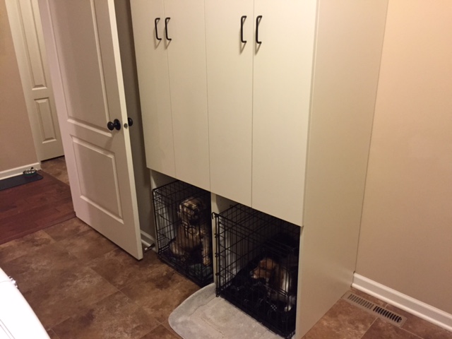 Dog crate outlet in closet