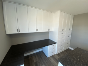 Craft Room Storage and Organization Lakeville MN